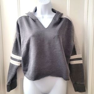 AEO Burnout Cropped Hoodie